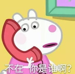 5块钱买个对象,他们做到了