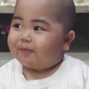思想史阅读计划