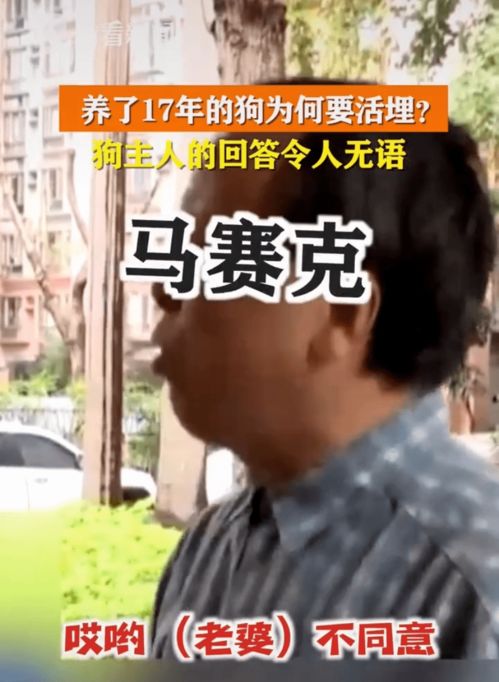 狗狗中风,主人不言放弃,一个月后奇迹出现