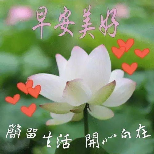 早安小可爱表情包早上好