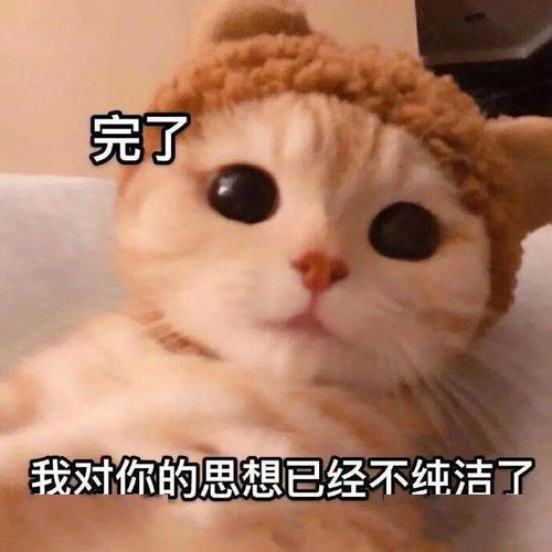 直男手滑把自拍发到群聊啊啊啊啊我看到了什么