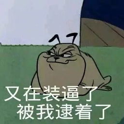 一只很有审美很潮的鸡,来看看什么是时尚时尚最时尚