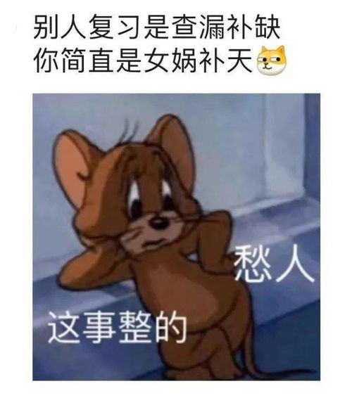 不会吧不会吧考试周变考试月