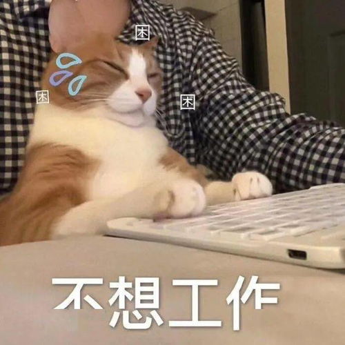 斗图表情包存一个