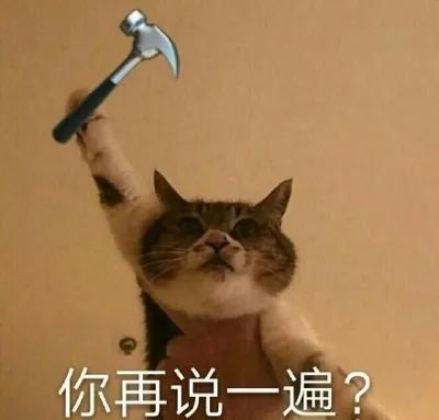 喵喵表情包