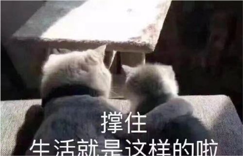 当面吵架就会毁娃一生我严重怀疑这些人没结过婚,没生过娃