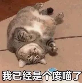 表情包都给我燃起来了