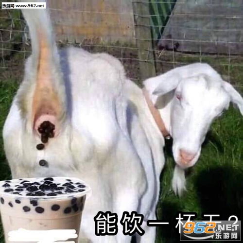 羊便便珍珠奶茶图片羊拉屎珍珠奶茶表情包下载乐游网游戏下载