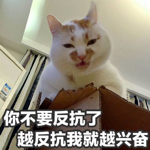 有哪些堪称有毒的沙雕朋友圈文案