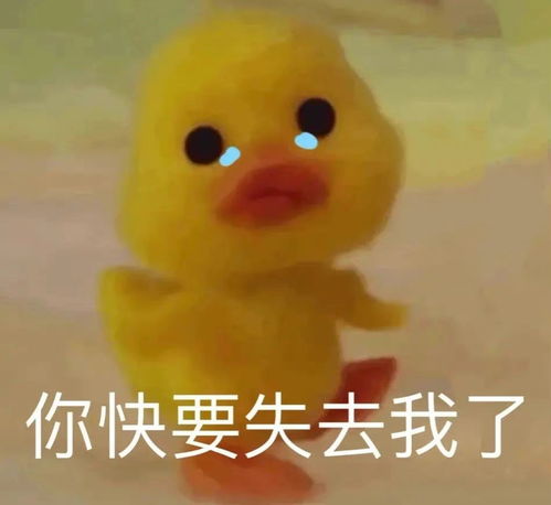 沙雕表情包又更新了