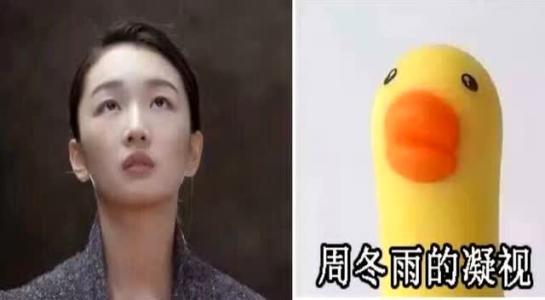 与王祖蓝相似的是小女孩,孙红雷的是动物,周冬雨的是小黄鸭