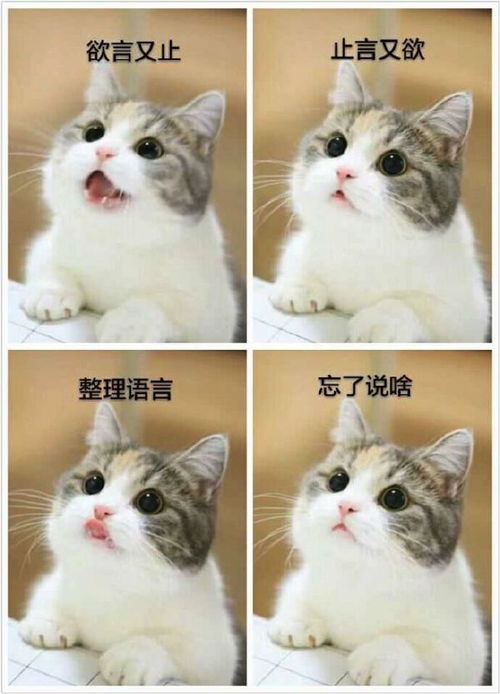 从深圳到长春,最具性价比的方案是什么