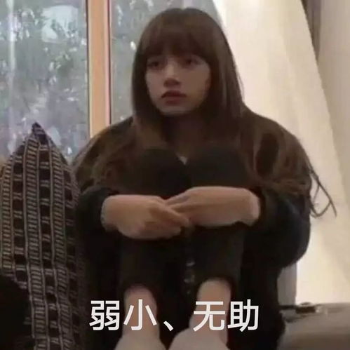 这个女团不仅互撕还霸凌