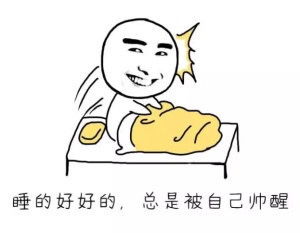 微信八组大鹅们的表情包