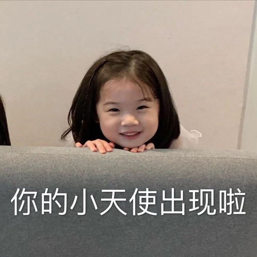 表情包聊天必备超可爱表情包