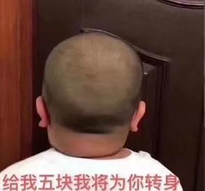 表情包你混什么圈