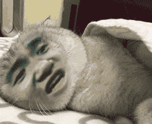 盖被子表情包gif