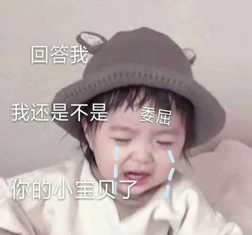 热门表情包图片回答我,我还是不是你的小宝贝了
