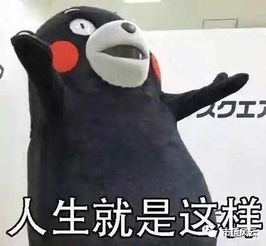 昔日超募王奥康衰落募投项目2012年至今尚未完成