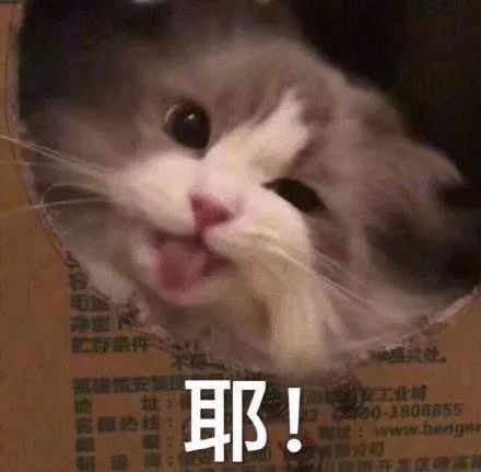 今年春天最撩人的3种穿法