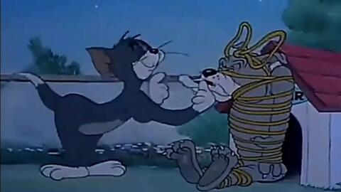 微信背景视频,猫和老鼠