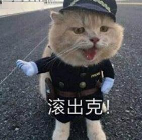 人肉供血包刘亦菲