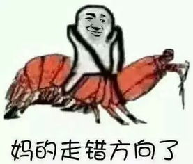 银贼视频直播全集银贼资料大全yy官方