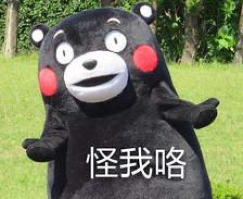 品牌房企进入武汉后产品就变low开发商怪我咯