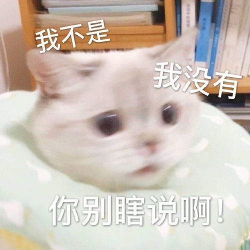 这些表情包太可爱了,赶紧收藏,不然以后找不到了