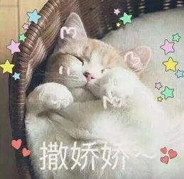 爽肤水柔肤水收敛水精华水傻傻分不清每研教你如何分清
