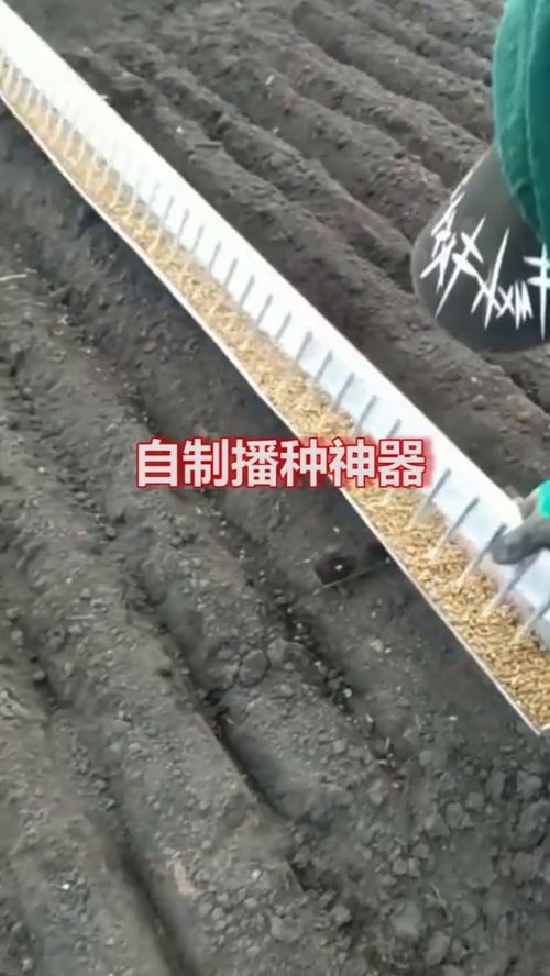 自制播种神器