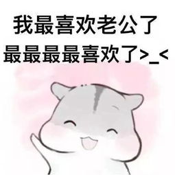 喊老婆表情包无水印版