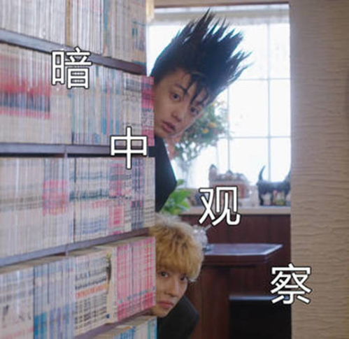 我是大哥大表情包精选明美,你说话不看场合吗