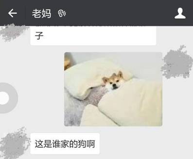 和爸妈聊天千万不要用表情包,你会疯的我跟你讲