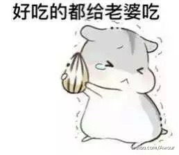 仓鼠老公表情包大全