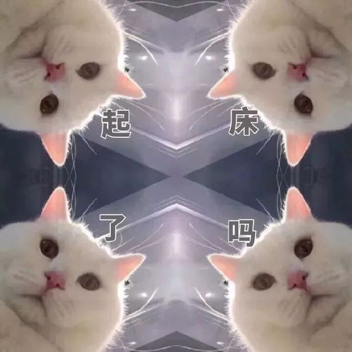 赖床,是郑州人对生活最后的反抗了