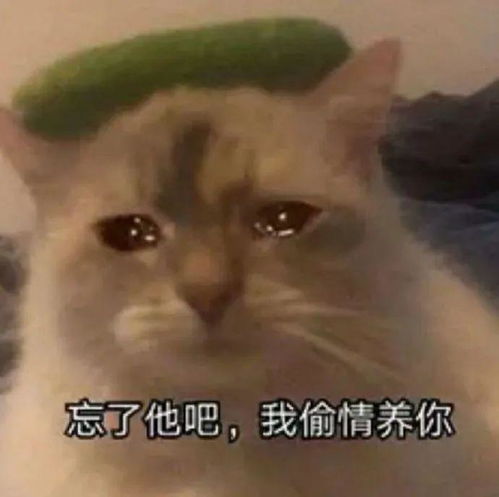 沙雕表情包别看了,我过得比你好
