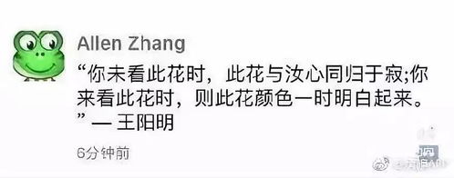微信大改版界面全面更新,视频强提醒功能上线还不夸我好看