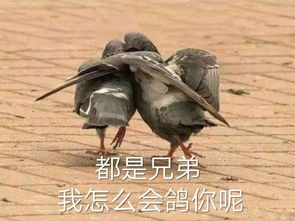 新一季跑男大换血,30岁的杨颖碾压90后小花竟然是因为