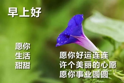 早上好温暖问候语表情图片早安温馨祝福语好看的图片