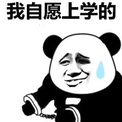 开题中期要不是有个开题,都激不起我的求生欲