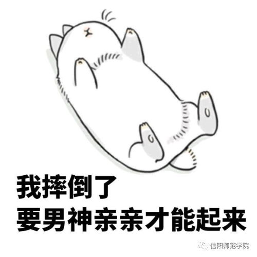 别来找我了,我回信阳师院了
