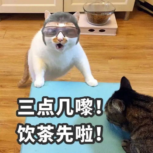 刷爆全网的三点饮茶,把我看哭了
