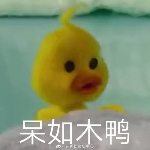 桃解决服装赞助商办法