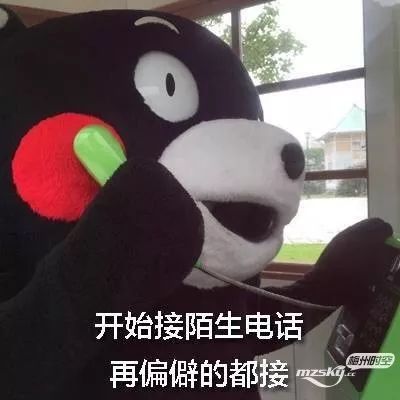 1站视频双十一后遗症大型吃土现场双十二还有29天到达......