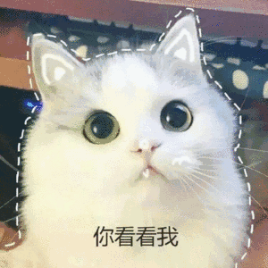 寒假开始备考,心态很差怎么办