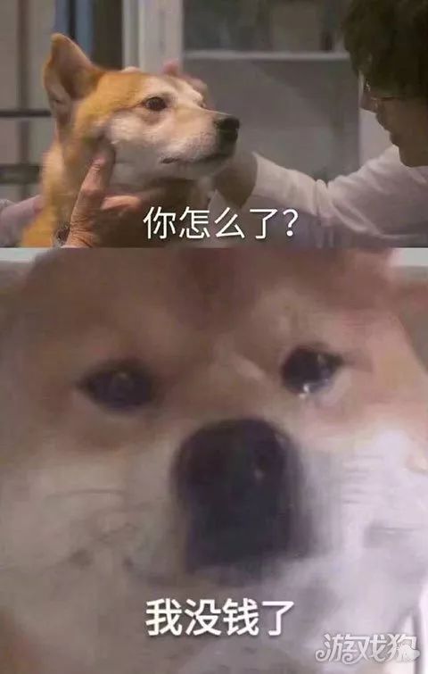 趣图只要心中有海洋去哪都是马尔代夫