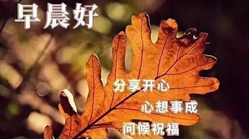 最新emoji表情代码大全中老年表情包微信朋友圈早晨问候语带图片最新早上好问候语动态图片大全...