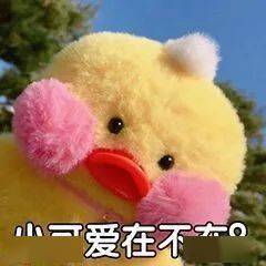 青年之声我与校长面对面问题投票开始啦