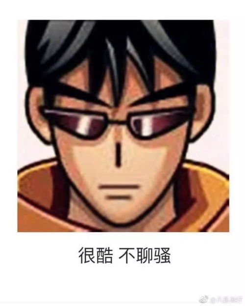 我和小鸡胃的爱情故事6